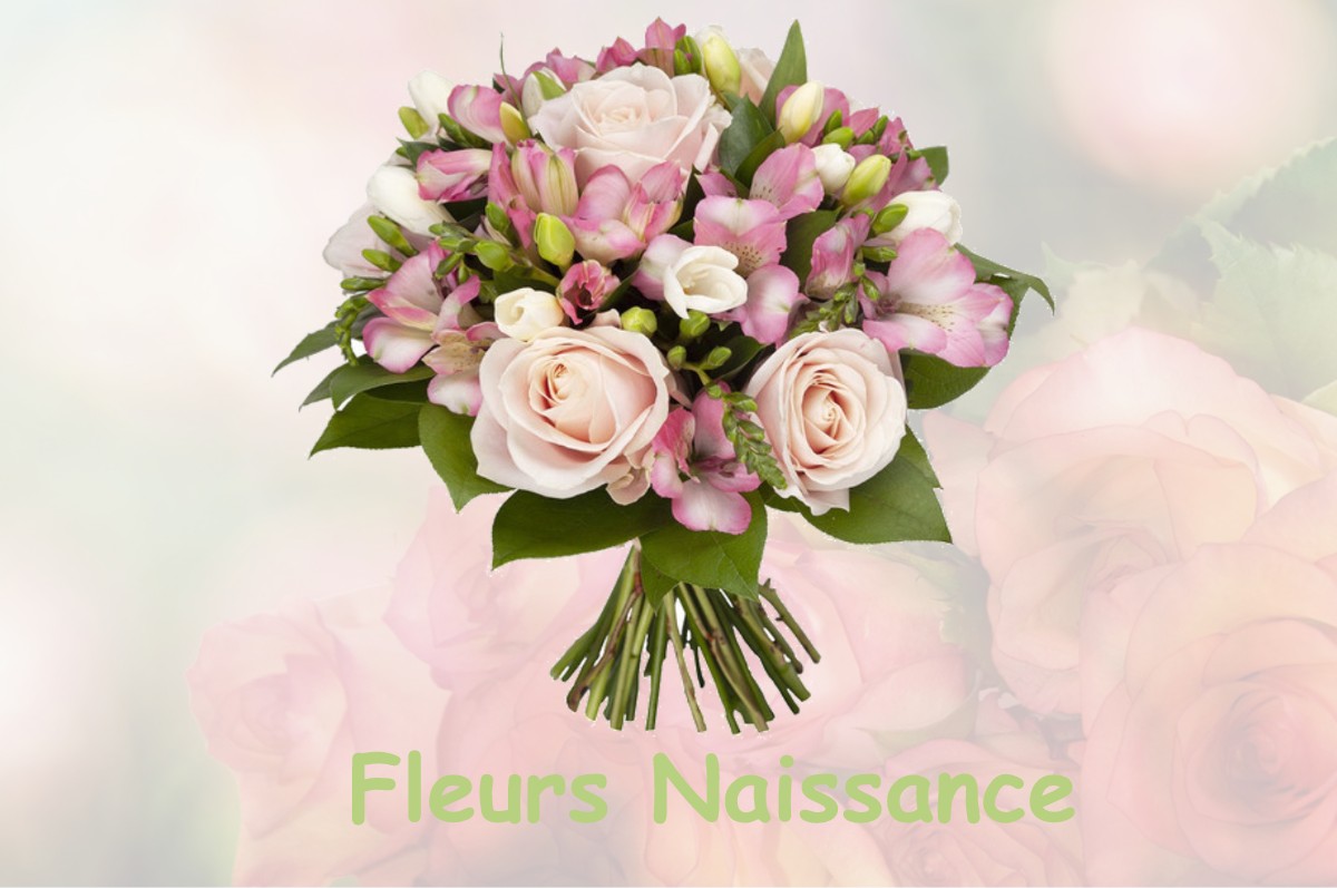 fleurs naissance MIMET