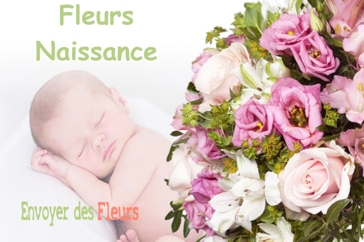 lIVRAISON FLEURS NAISSANCE à MIMET